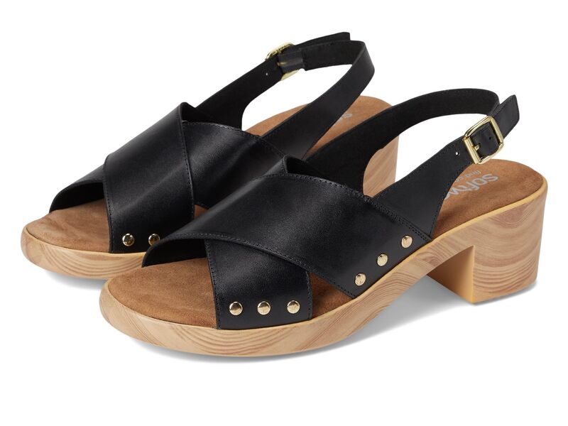 ホンブルグ帽ウォーク レディース シューズ スニーカー SoftWalk Florence Black 黒いこと