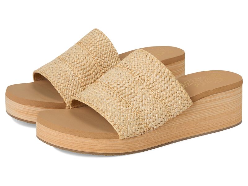 スケッチャーズ レディース シューズ 踵 SKECHERSummers - Salt Spray Natural