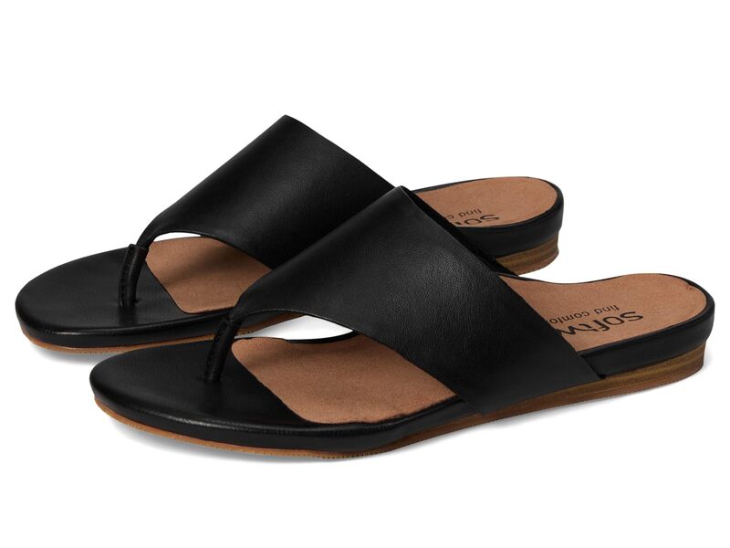 ソフトウォーク レディース シューズ サンダル SoftWalk Chandler Black ブラック