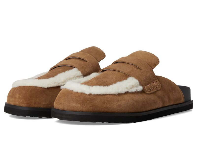 スティーブ マデン レディース シューズ ヒール Steve Madden Tomlin Chestnut Suede