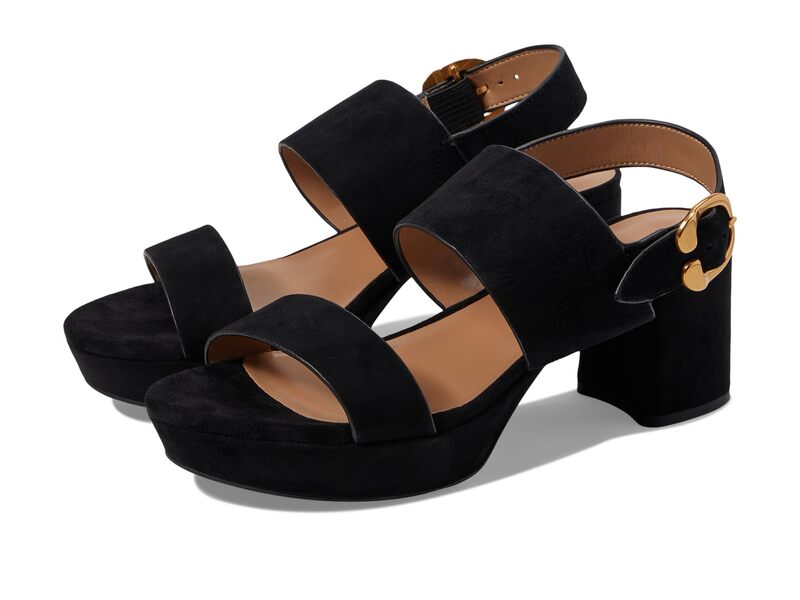エアロソールズ レディース シューズ ヒール Aerosoles Camera Black Suede ブラック