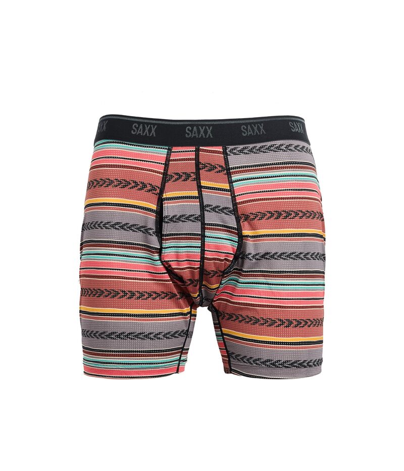 サックスアンダーウェアー メンズ ボクサーズボン下 メッシュ SAXX UNDERWEAR Quest Quick-dry Mesh Boxer Briefly Globetrekker Stripe/Multi マルチ色つや
