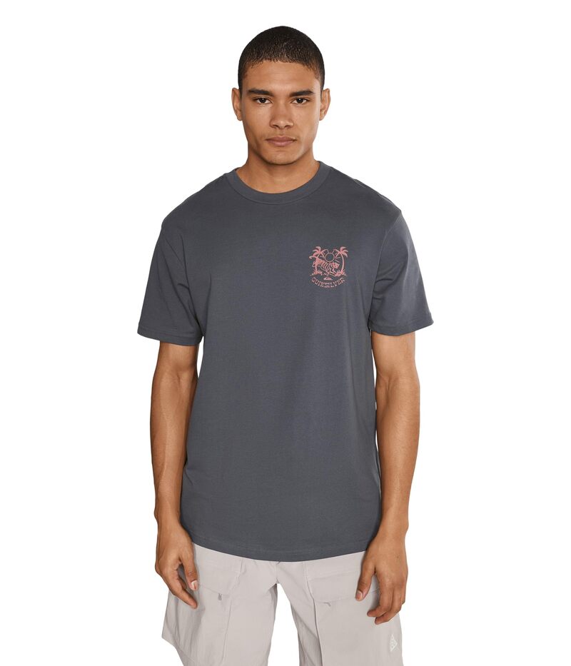 クイックしろがね色 メンズ トップス プルオーバー Quiksilver In The Wild Screen Tee Iron Gate