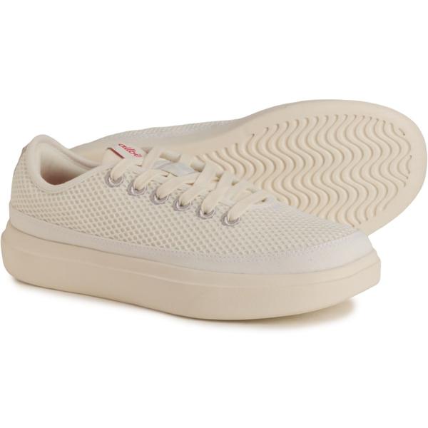 オールバーズ レディース シューズ スニーカー Allbirds Piper 2 Sneakers (For Women) Blzzrd Vvd Rd