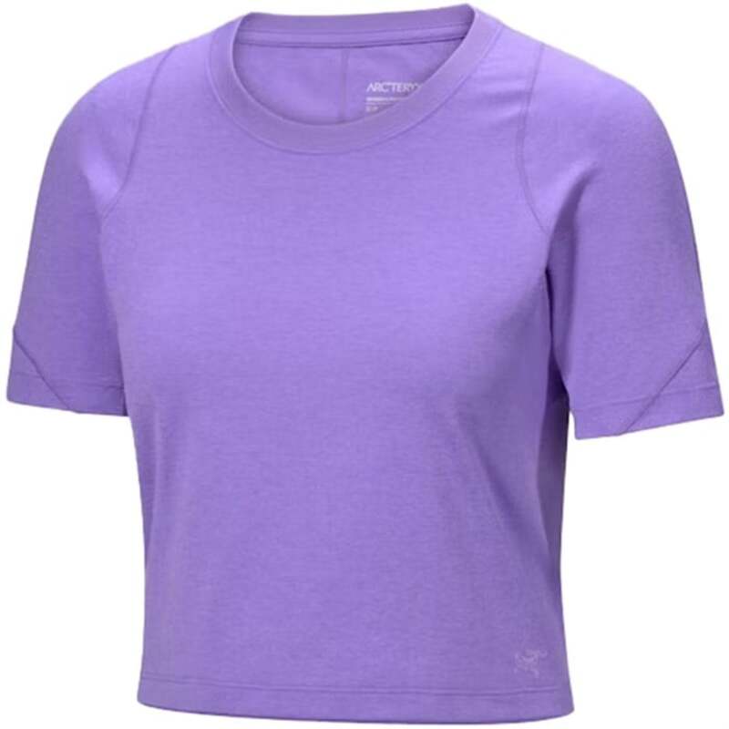 アークテリクス レディース トップス シャツ 半袖 Arc'teryx Rula Short-Sleeve T-Shirt - Women's Aster