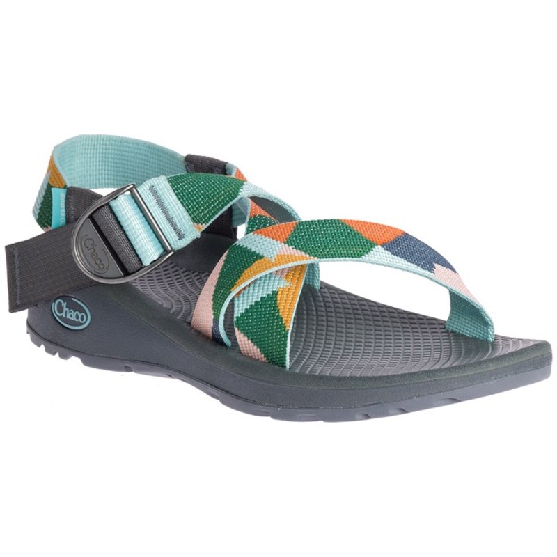 kaleido katydid chaco