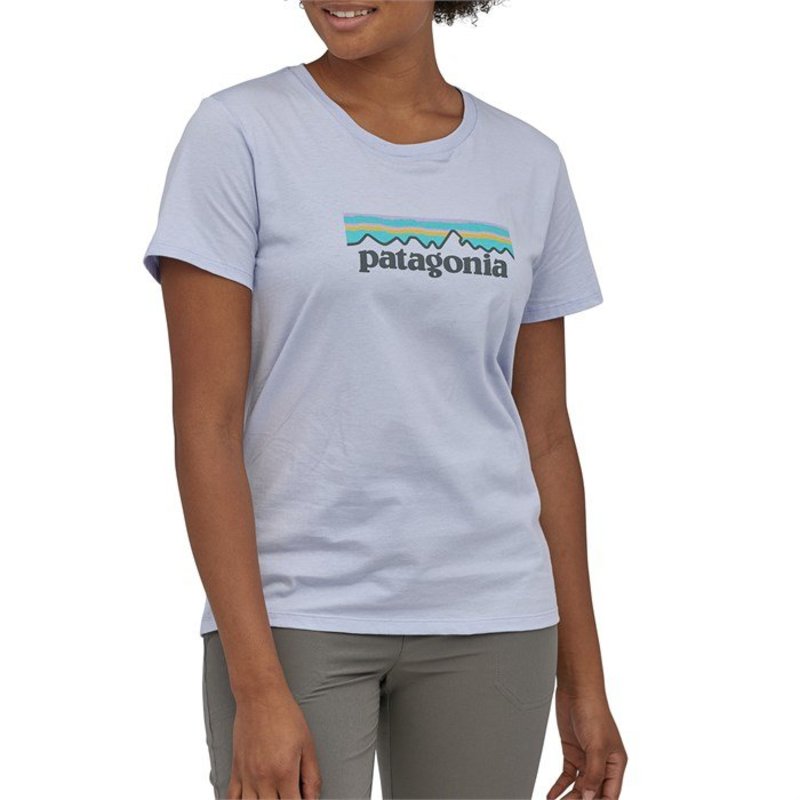 パタゴニア レディース Tシャツ トップス Patagonia Pastel P 6 Logo Organic Crew T Shirt Women S Beluga Runawayapricot Com