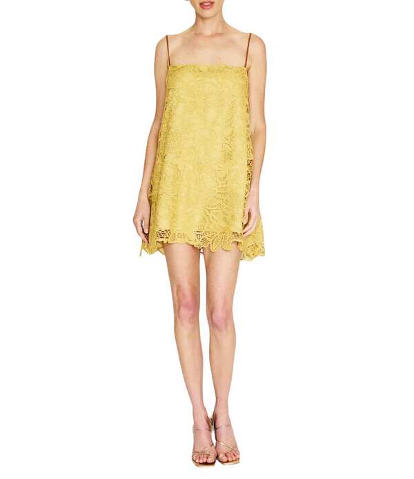ラインアンドドット レディース トップス カットソー オーバーレイ ノースリーブ スピード競技 Line andotansy Square Neck Sleeveless Lace Overlay Coordinating Tunic Dress Dijon