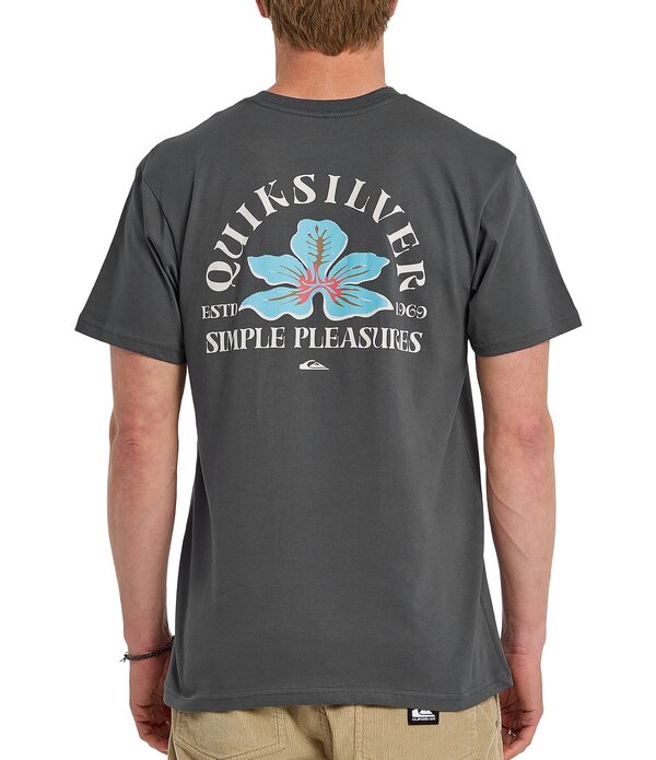 クイックしろがね色 メンズ トップス プルオーバー Quiksilver Simpleasureshort Sleeve T-Shirt Iron Gate