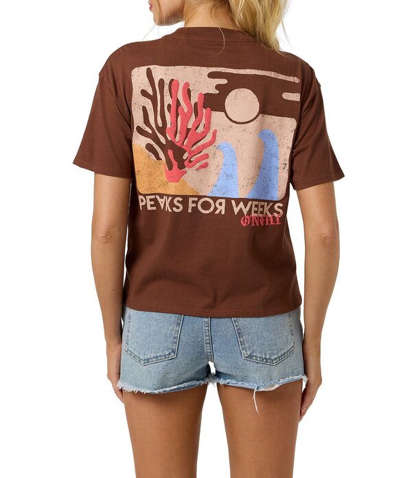 オニール レディース トップス プルオーバー 旗がしら ケープ O\u0027Neill Escape Short Sleeve T-Shirt Coconut Brown 赤銅色