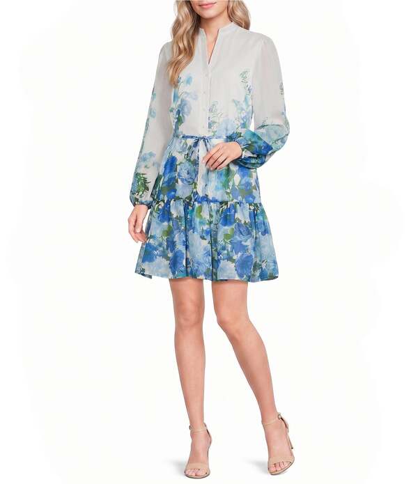 アレックスマリー レディース トップス 衣裳 Vのど首 お花柄 刷り上げる お花 Alex Marie Lorenza Floral V Neck Long Sleeve Printed Novelty Dress Aqua Floral アクア