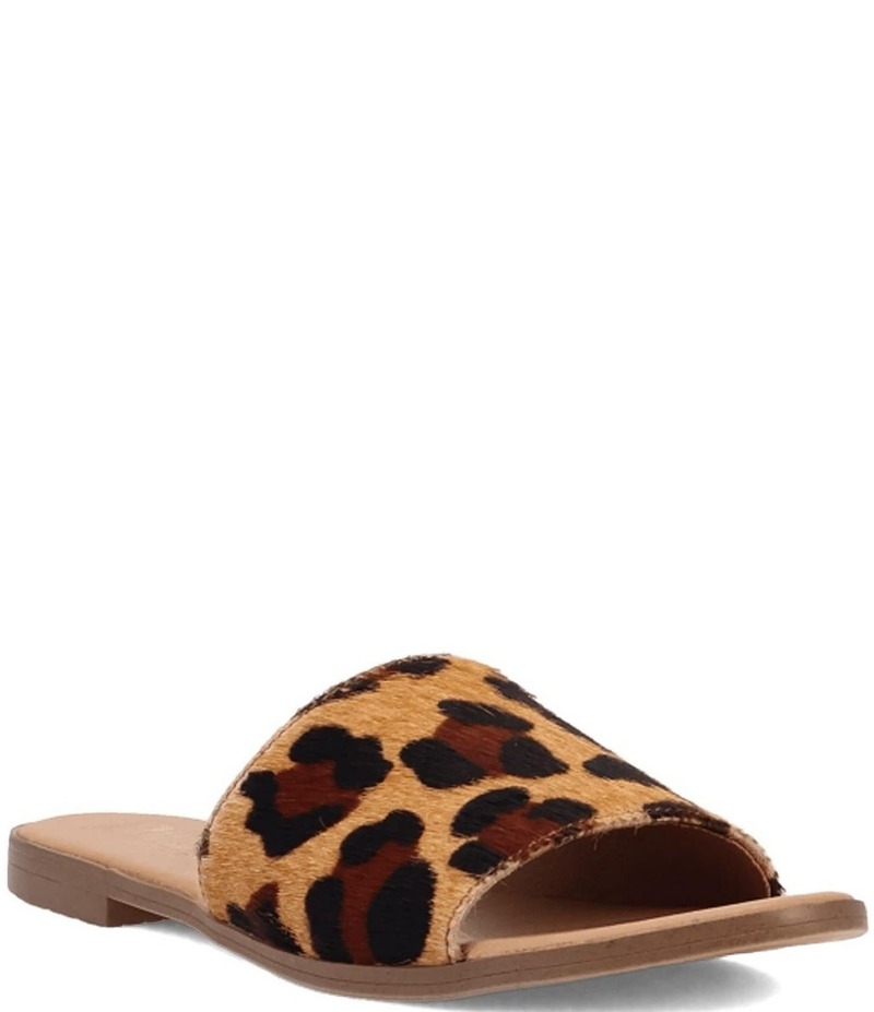 ディンゴ レディース シューズ パンプス 刷り上げる Dingo Tabby Leopard Print Calf Hair Slides Leopard 毛の荒物 レディース靴-パンプス-靴