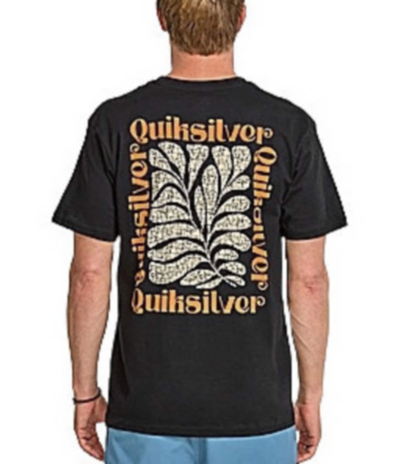 クイックしろがね色 メンズ トップス プルオーバー プルオーバー Quiksilver El Natural Short Sleeve T-Shirt Black 黒いこと