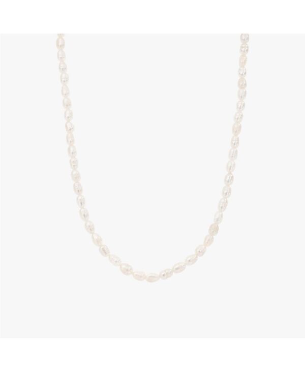 ベアフルーツジュエリー レディース アクセサリー ネックレス・チョーカー・ペンダントトップ ミニ レース Bearfruit Jewelry 14k Gold Plated Memories Base Pearl Necklace Minimalist Piece Pearl white ホワイト|ReVida 店