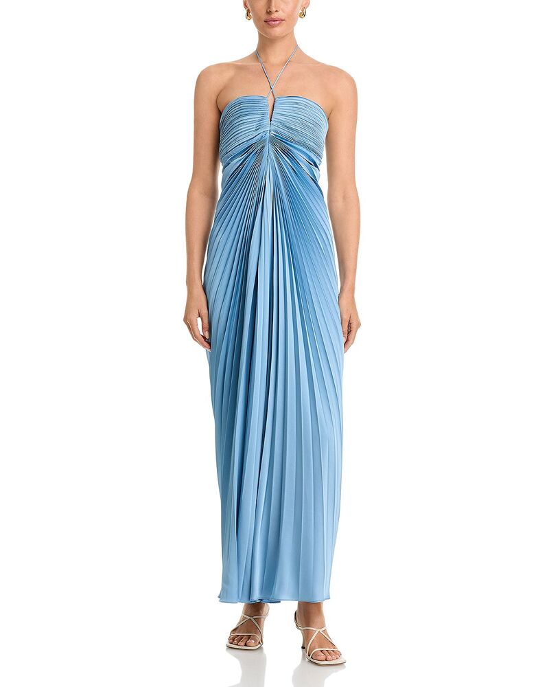 アムール レディース トップス ワンピース プリーツ Amur Ionea Pleated Gown Tropical Dusk