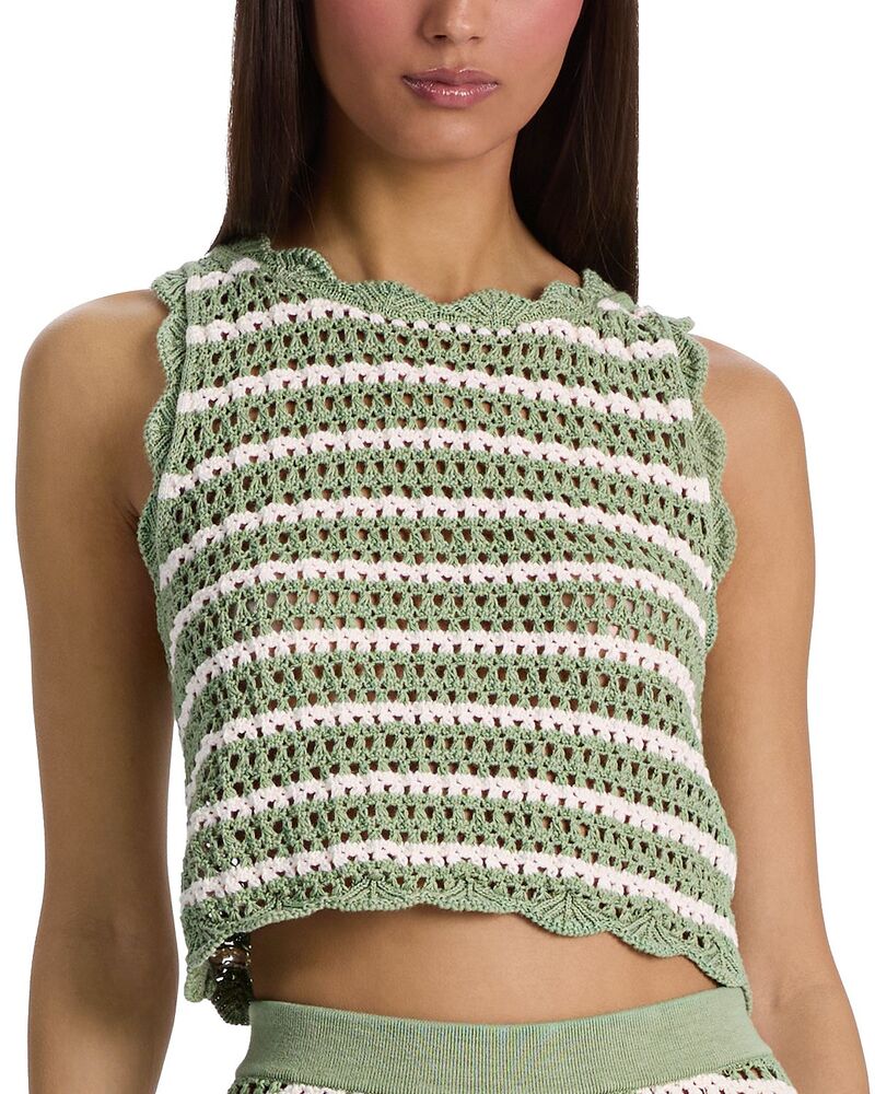 アリスアンドオリビア レディース トップス 貯蔵タンクいの一番 編み物 Alice and Oliviamity Pointelle Knitank Sage/Soft White 白いこと