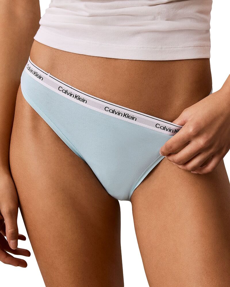 カルバンクライン レディース アンダーお召しもの ズボン下 ロゴタイプ Calvin Klein Modern Logo Bikini Antarctic