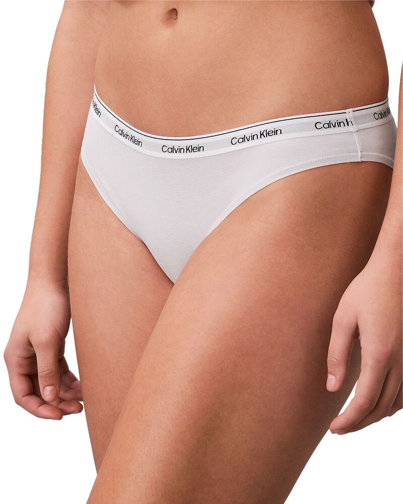 カルバンクライン レディース アンダーお召しもの ズボン下 ロゴタイプ Calvin Klein Modern Logo Bikini Frosty Lilac 紫はしどい