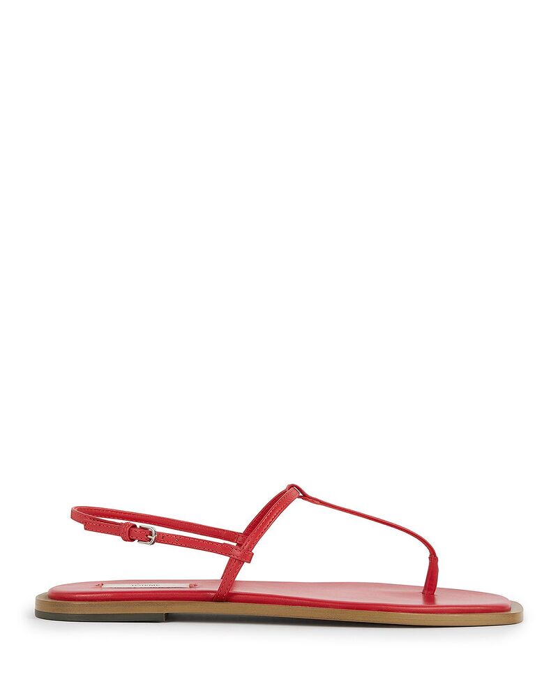 トーテム レディース シューズ サンダル なめし革 TOTEME Women\u0027s T Strap Leather Sandals Red/Desert 赤いこと