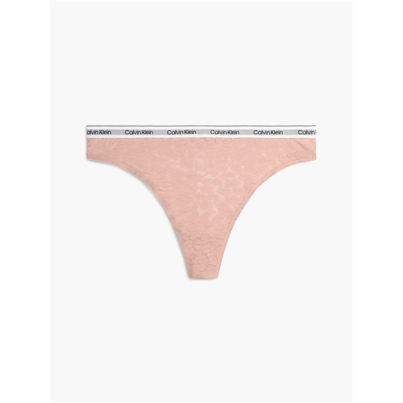 カルバンクライン レディース アンダー御召しもの ズボン下 綿織物 スピード競技 Calvin Klein Calvin Modern Cotton Lace Thong Subdued