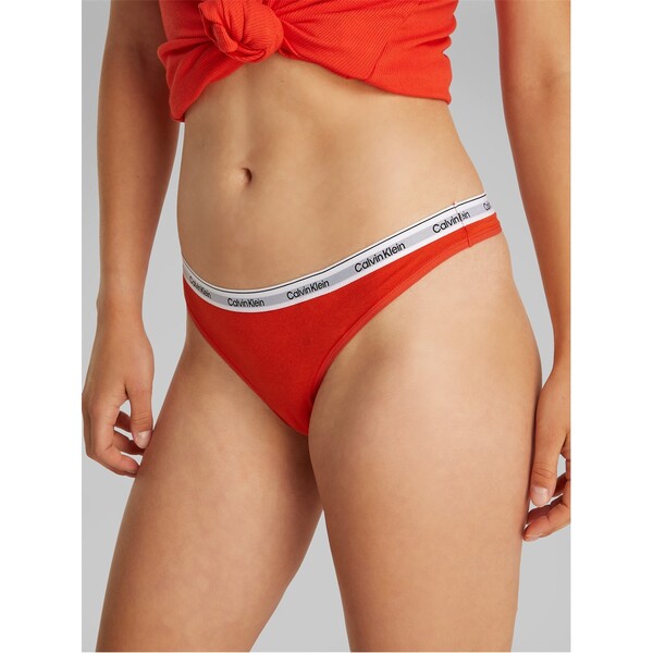 カルバンクライン レディース アンダー御召しもの ズボン下 ロゴタイプ Calvin Klein Logo Thong Molten