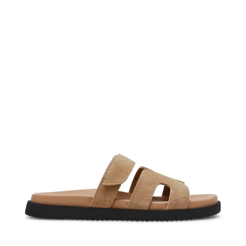 スティーブ マデン レディース シューズ サンダル Steve Madden Missile Sandal Taupe トープ