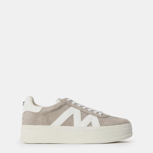 スティーブ マデン レディース シューズ スニーカー Steve Madden Women\u0027s Opponent Low-Top Trainers Grey Suede 薄墨色