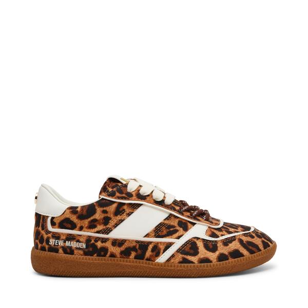 スティーブ マデン レディース シューズ スニーカー Steve Madden Women\u0027s Low-Top Trainers Leopard 毛の荒物