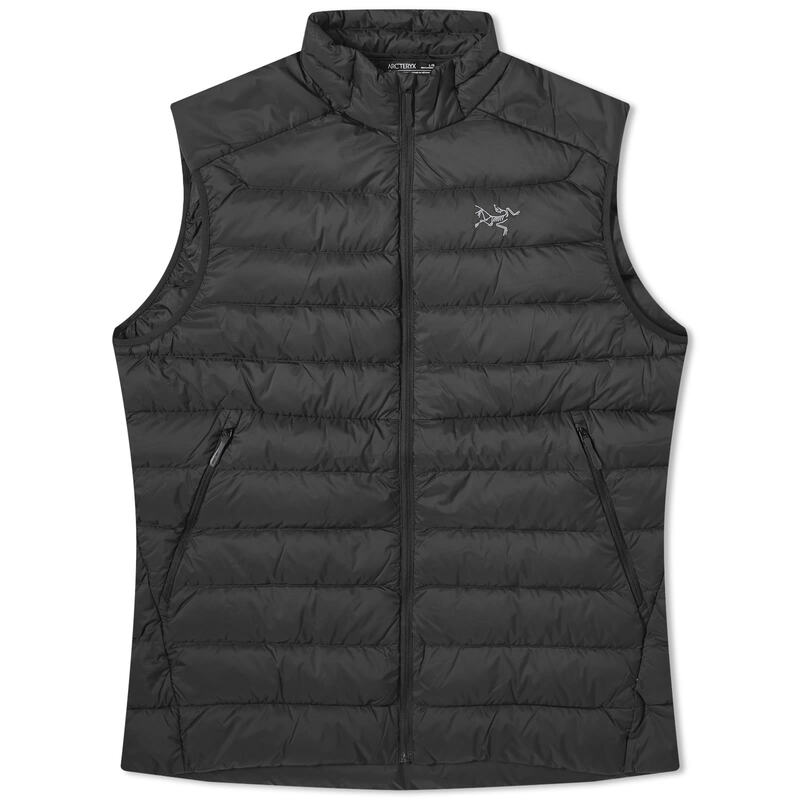 楽天市場】ARC'TERYX アークテリクス POLARTEC FLEECE ZIP VEST