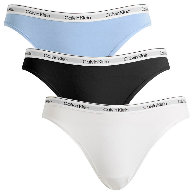 カルバンクライン レディース アンダーウェア パンツ Calvin Klein Icon Bikini Brief - 3 Pack Black White & Frozen Fjiord ホワイト