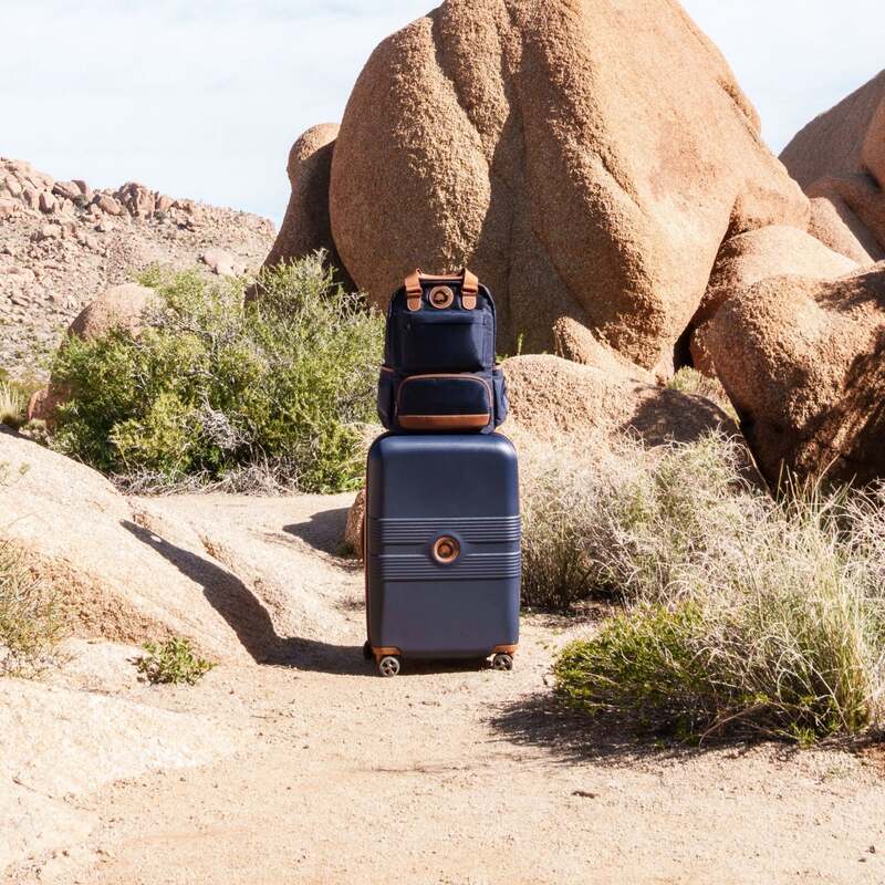 デルシー メンズ バッグ スーツケース Delsey Flanerie SE Spinner Carry-On Navy ネイビー