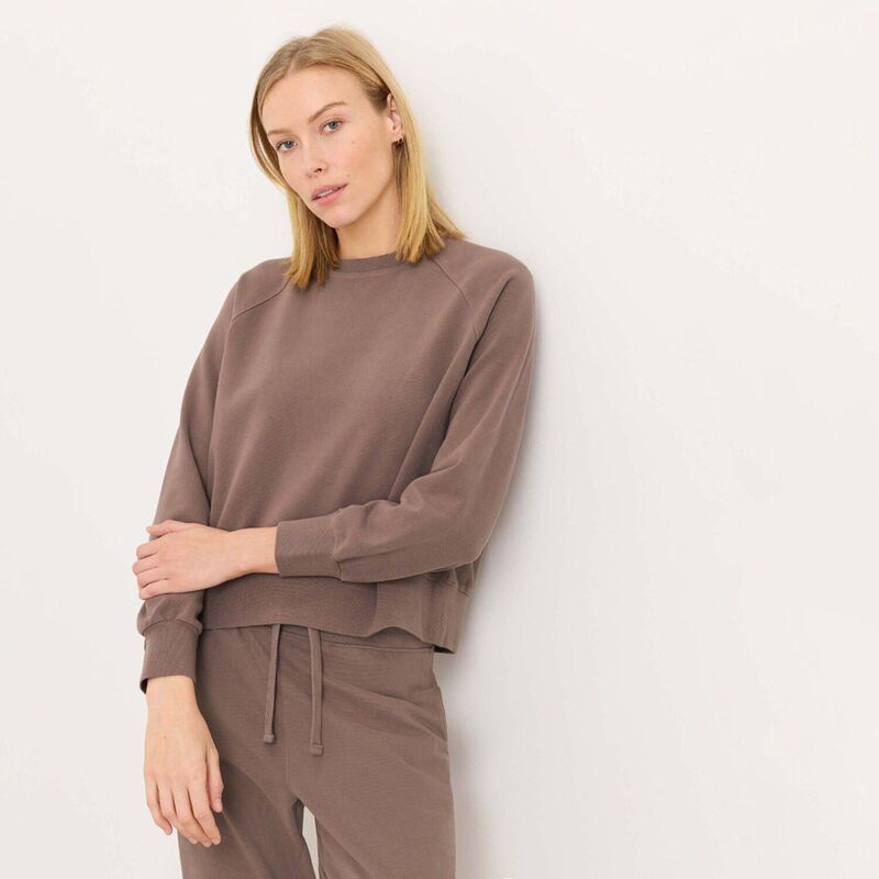 パクト レディース トップス プルオーバー 編み物 Pact CloudKnit Raglan Crew Deep Taupe トープ