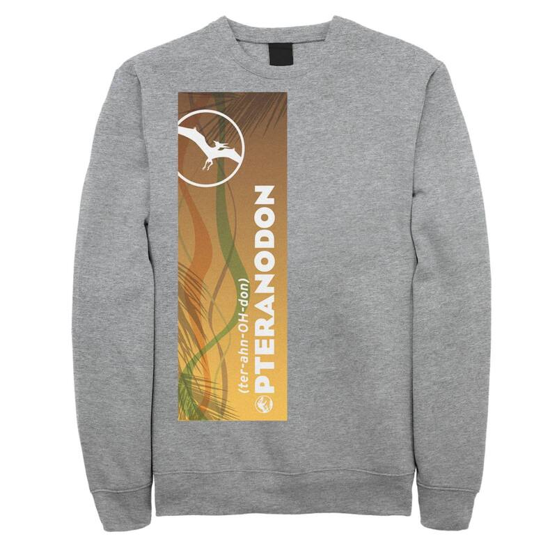 アニメキャラクター メンズ トップス Tシャツ スウェット Licensed Character Men's Jurassic World Pteranodon Right Panel Sweatshirt Athletic Heather ヘザー｜ReVida 店