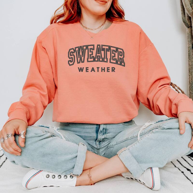 Simply Sage Market レディース トップス Tシャツ スウェット セーター 刺繍 Simply Sage Market Embroidered Sweater Weather Garment Dyed Sweatshirterracotta テラコッタ