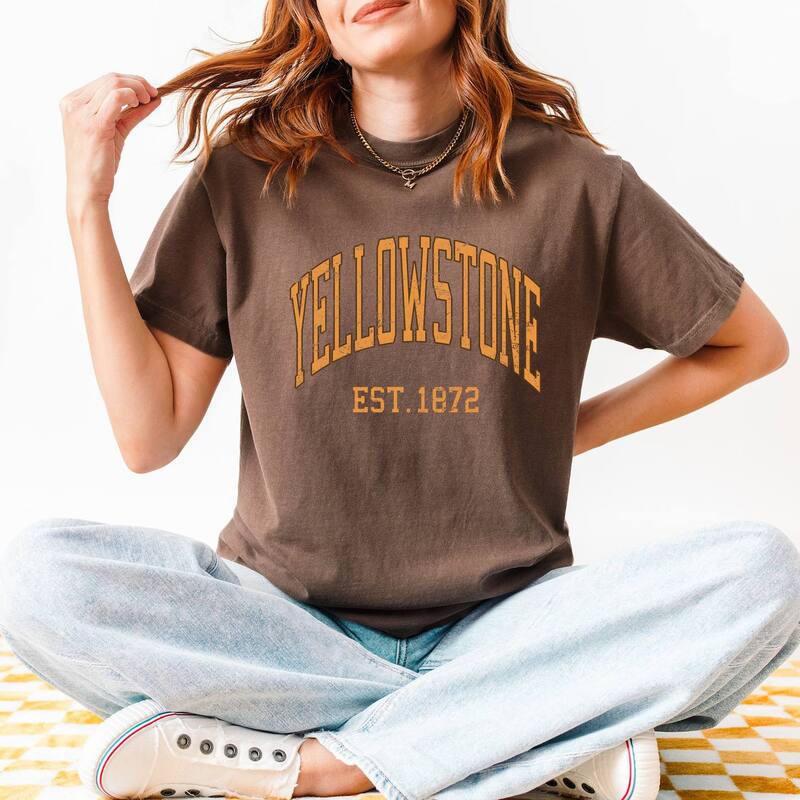 Simply Sage Market レディース トップス ティーシャツ Simply Sage Market Yellowstonest. 1872 Garment Dyed Teespresso サルヴィア レディースファッション-Tシャツ・カットソー-トップス