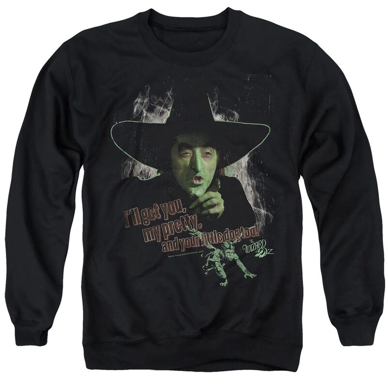 アニメキャラクター メンズ トップス Tシャツ スウェット グラフィック Licensed Character Men's Wizard Of Oz Graphic Sweatshirt Black ブラック｜ReVida 店