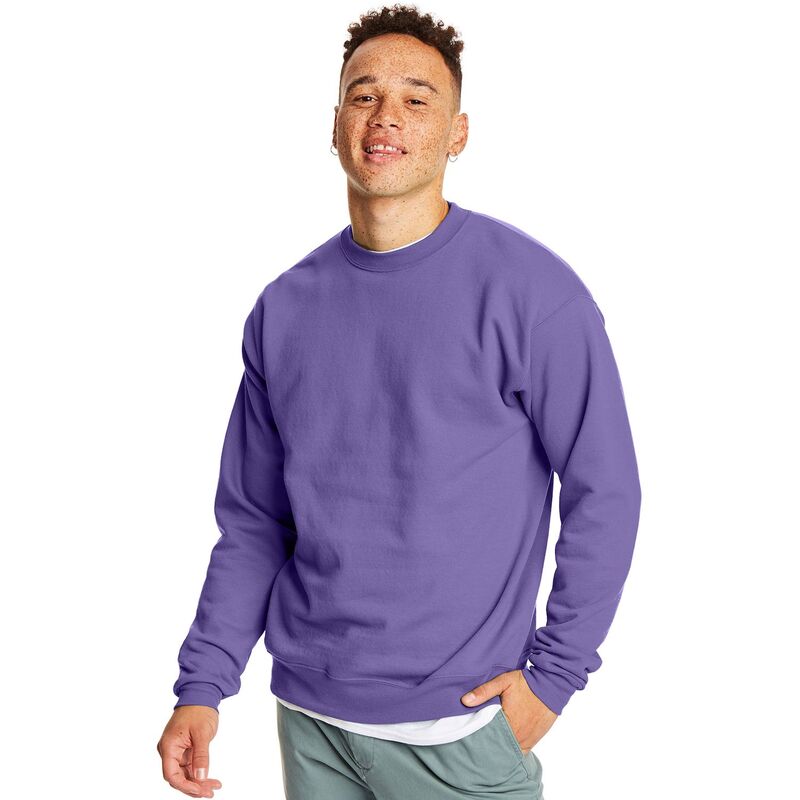 ヘインズ メンズ トップス Tシャツ スウェットール フリース Big & Tall Hanes Fleece Sweatshirt Purple パープル