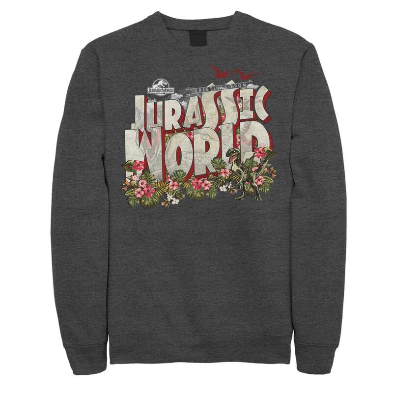 アニメキャラクター メンズ アウター パーカー・スウェット シャツ Licensed Character Men's Jurassic World Tropical Raptor Postcard Sweatshirt Charcoal Heather チャコール