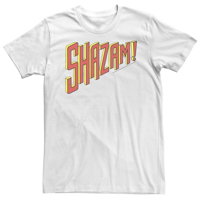 アニメキャラクター レディース トップス Tシャツ トール ロゴ Licensed Character Big & Tall DComicshazam Slanted Text Logo Tee White ホワイト