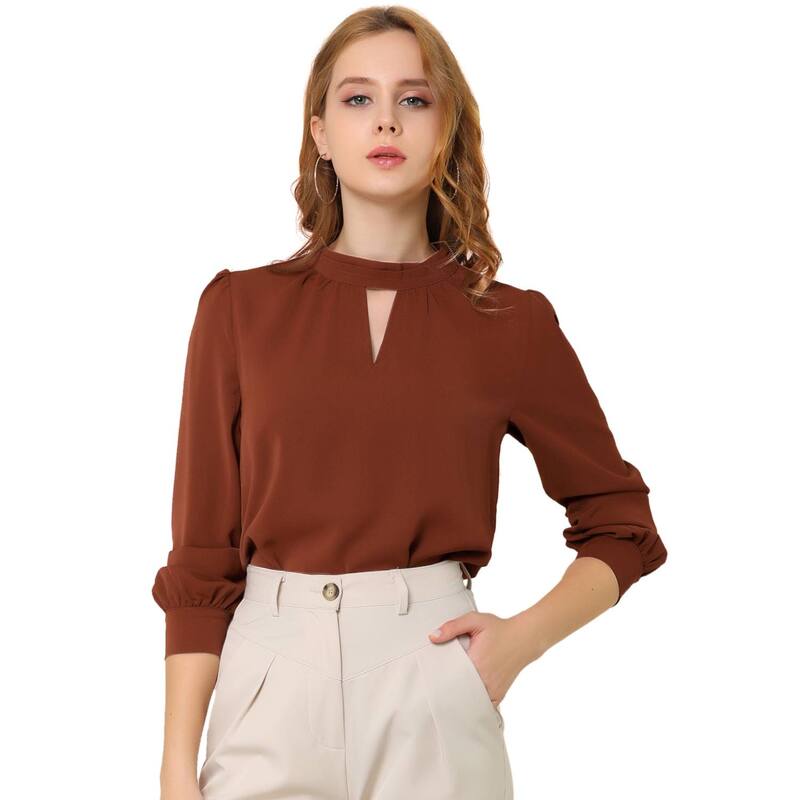 アレグラ ケー レディース トップス シャツ プリーツ ブラウス ALLEGRA K Women's Keyhole Stand Collar Pleated Back Button Blouse Tops Brown ブラウン