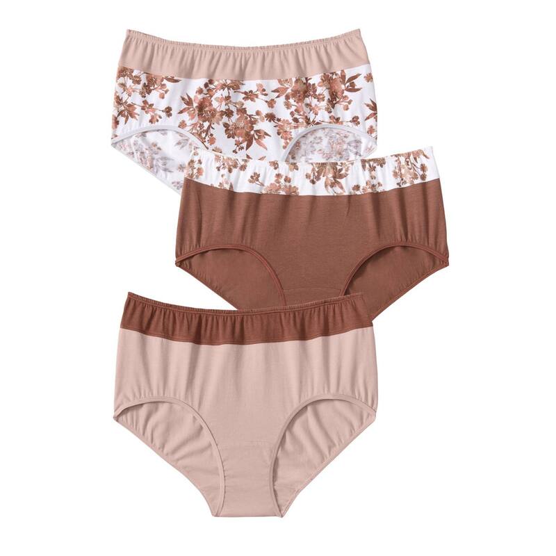 コンフォート より分ける レディース アンダー御召しもの ズボン下 つけ加える大きさ 綿織物 Comfort Choice Women\u0027s Plusize Full Coverage Stretch Cotton Color Block Brief 3-Pack Mocha モカ