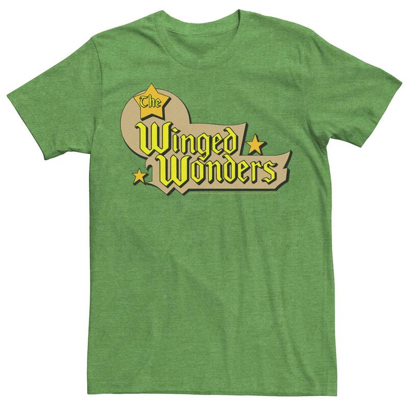アニメキャラクター レディース トップス Tシャツ ロゴ Licensed Character Men DComics The Winged Wonders Text Logo Tee Kelly Heather ヘザー