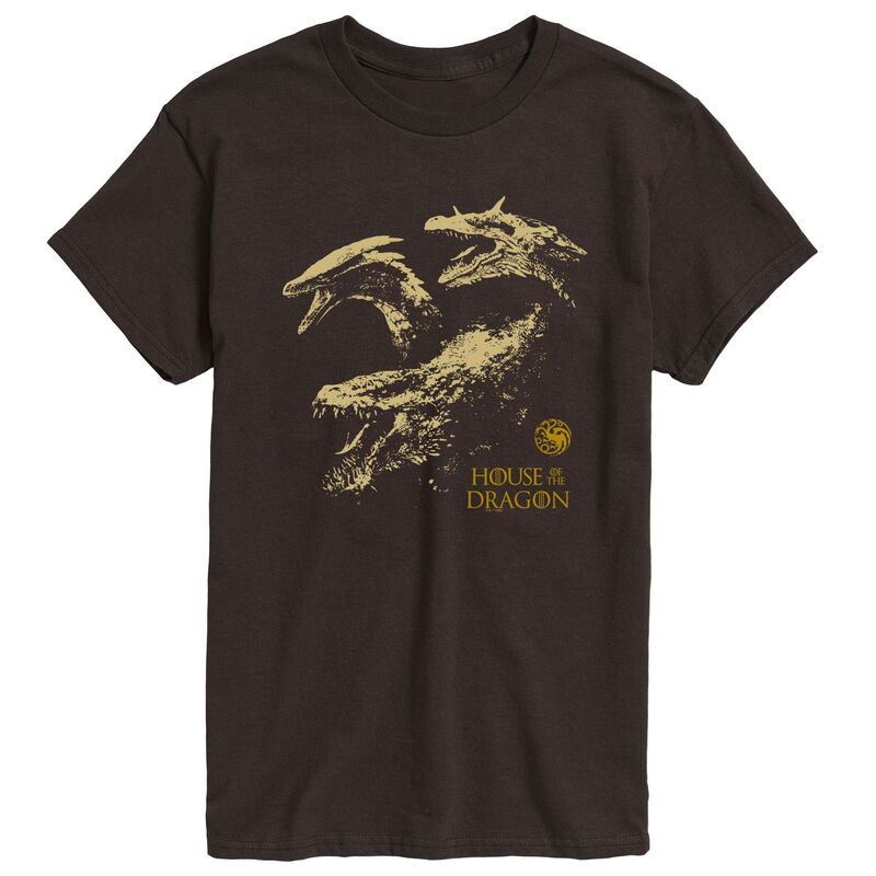 アニメキャラクター レディース トップス Tシャツ グラフィック Licensed Character Men's House of the Dragon Distressed Graphic Tee Dark Brown ブラウン|ReVida 店