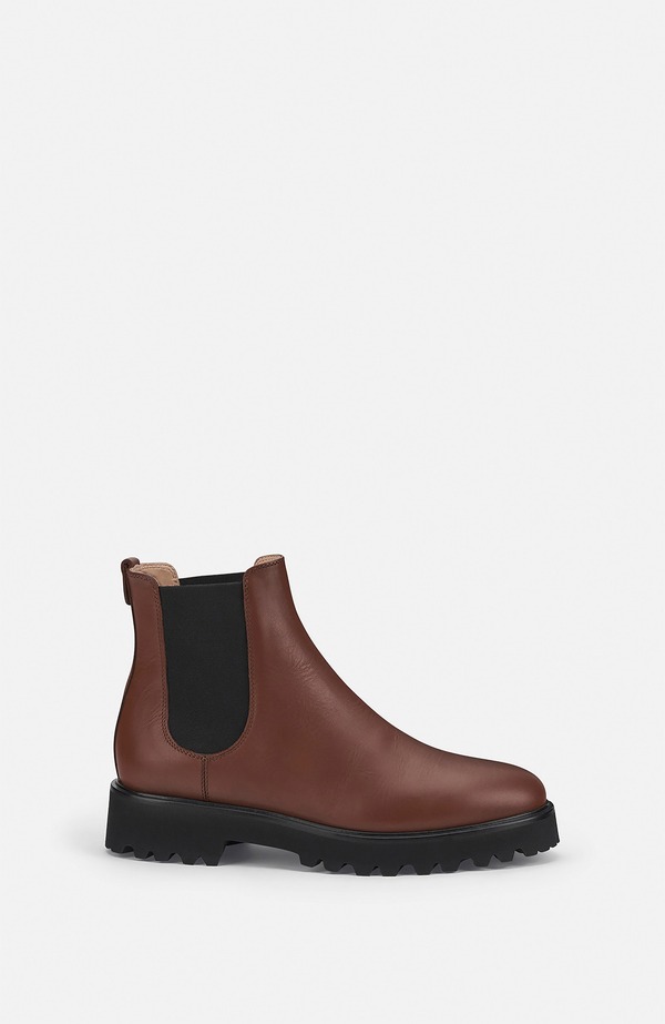 エージーエル レディース シューズ ブーツ・レインブーツ アンクル AGL Goldie Beatle Ankle Boot Jujube