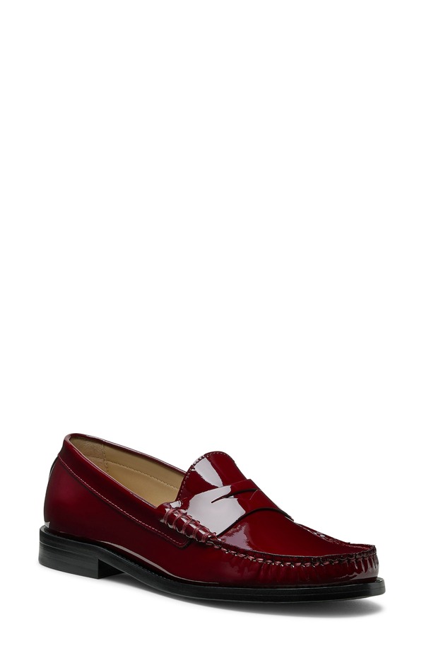 スチュアート ワイツマン レディース シューズ スリッポン・ローファー Stuart Weitzman Lottie Penny Loaferosewood Patent