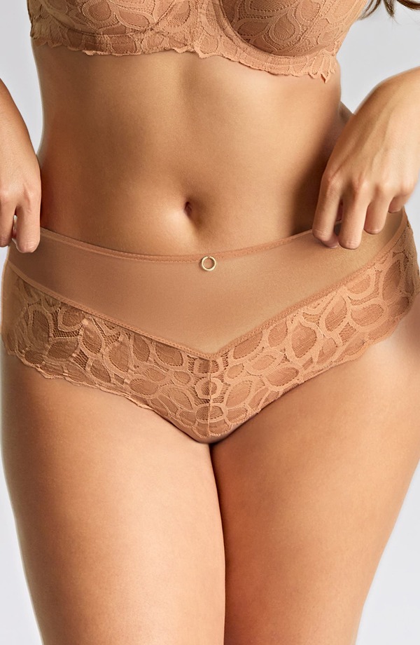 パナシェ レディース アンダーウェア パンツ レース Panache Allure Lace Cheeky Briefs Honey