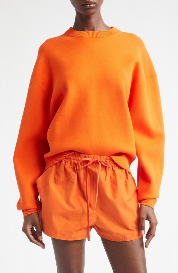 エーエルシー レディース アウター パーカー・スウェット 労働者の一団のど首 ティーシャツ A.L.C. Teddy Crewneck Sweater Poppy