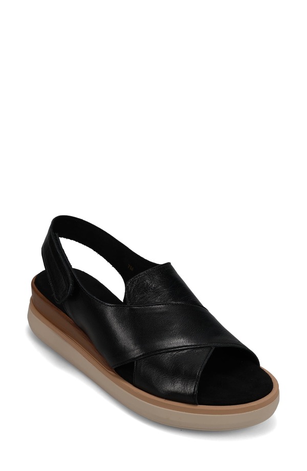 ベネリ レディース シューズ ヒール サンダル VANELi Hydra Slingback Sandal Black ブラック｜ReVida 店