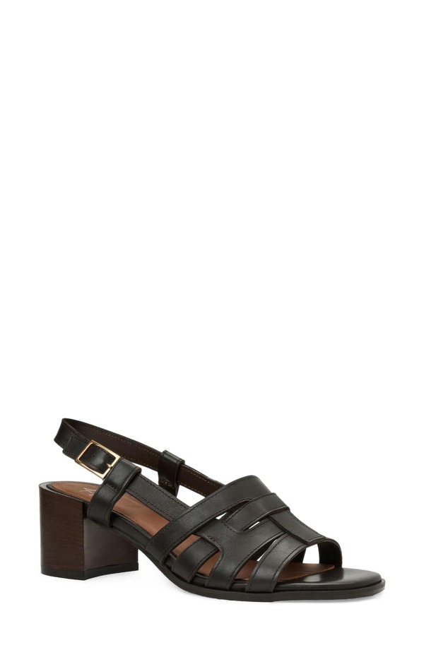 アクアタリア レディース シューズ ヒール サンダル Aquatalia Dimaro Weatherproof Slingback Sandal Espresso Vanchette