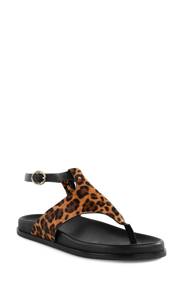 セイシェルズ レディース シューズ サンダル プラットフォーム アンクル Seychelles In the Zone Ankle Straplatform Sandaleopard アニマル